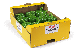Trays